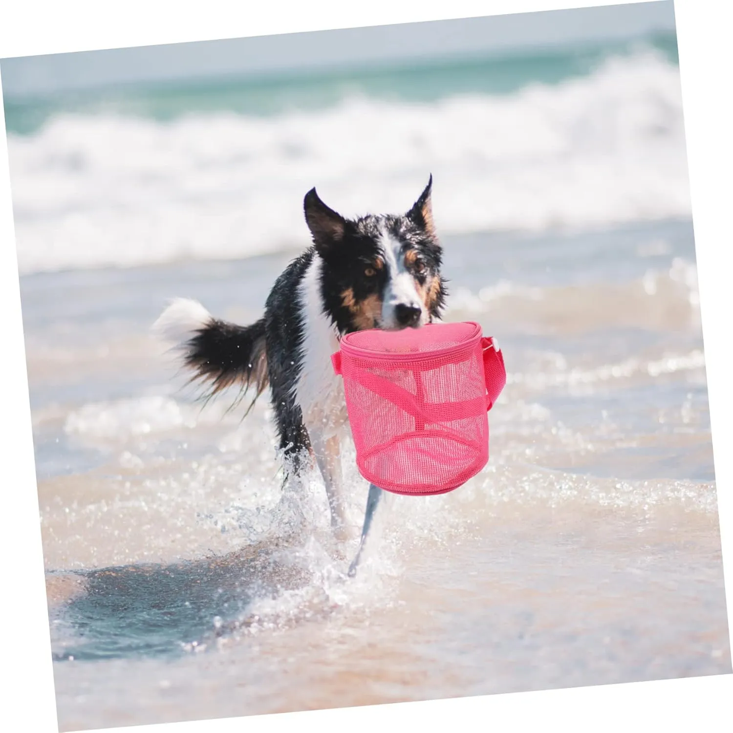 Boy Girl Mesh Beach Bag Organizer Portable Sand Toy Bucket for Boys Girls Storage for Shells Towels and Beach Essentials Present for Summer Fun