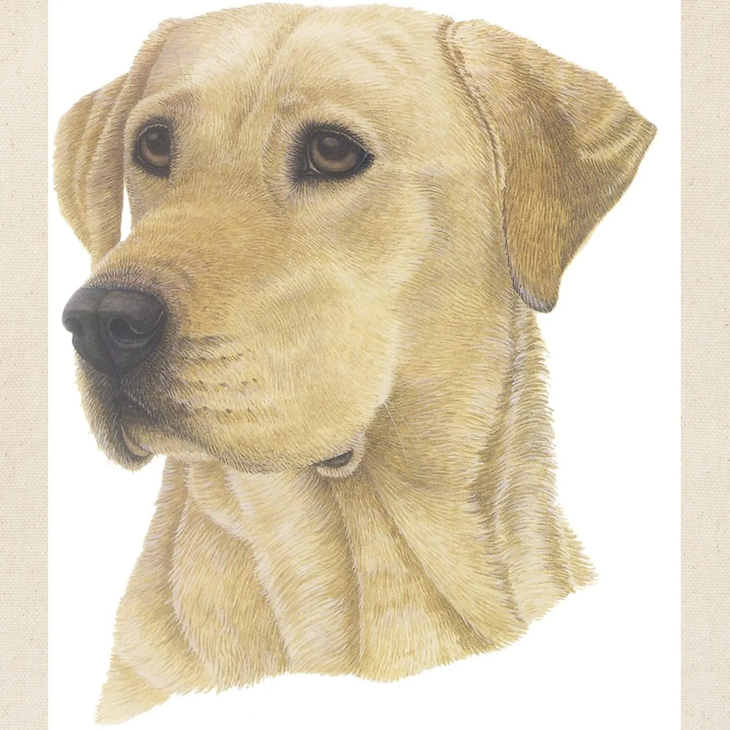 CafePress Yellow Lab Tote Bag Reusable Natural Beige Canvas Shopping Bag