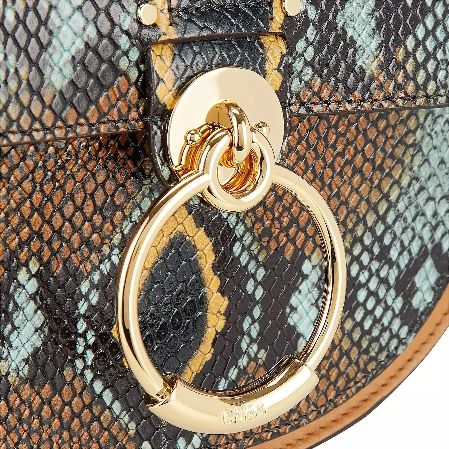 CHLOÉ TESS PYTHON CROSSBODY BAG
