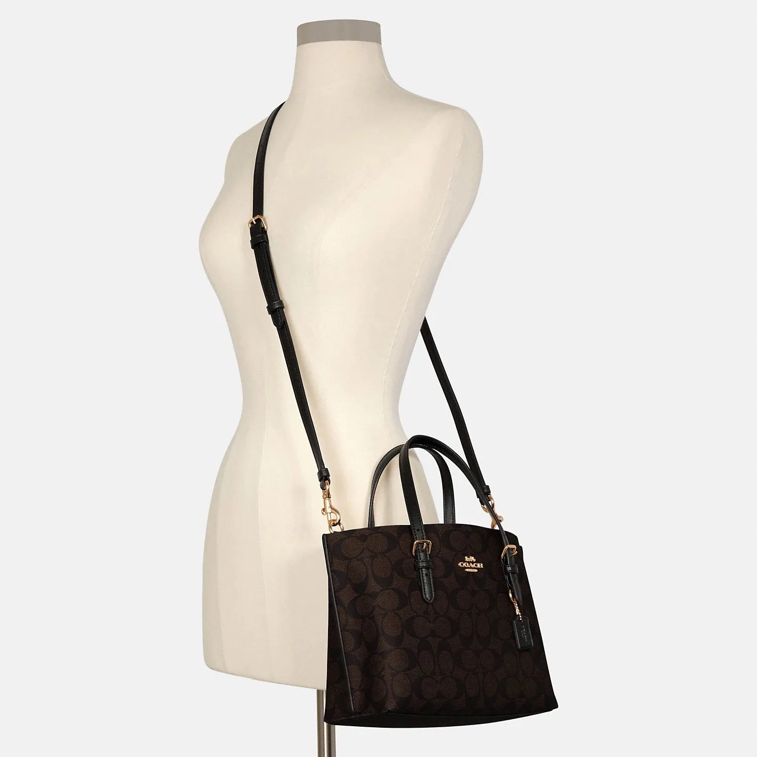 C.O.A.C.H  Mollie Tote