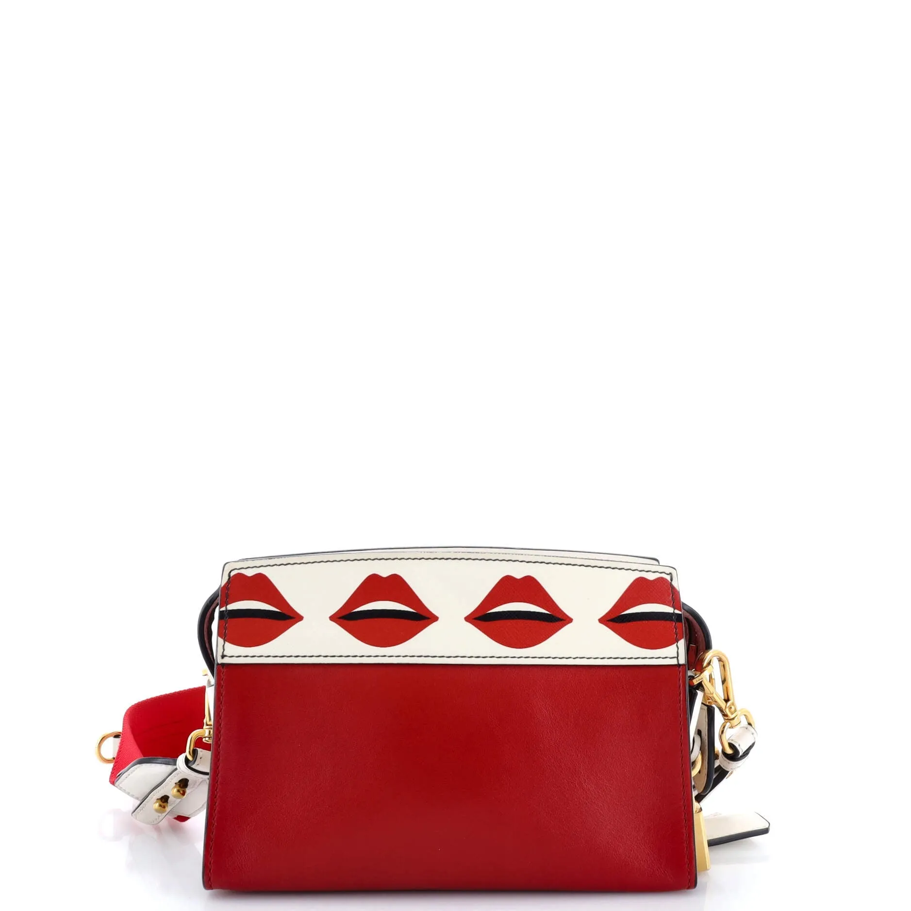 Esplanade Crossbody Bag Printed Saffiano and City Calf Small