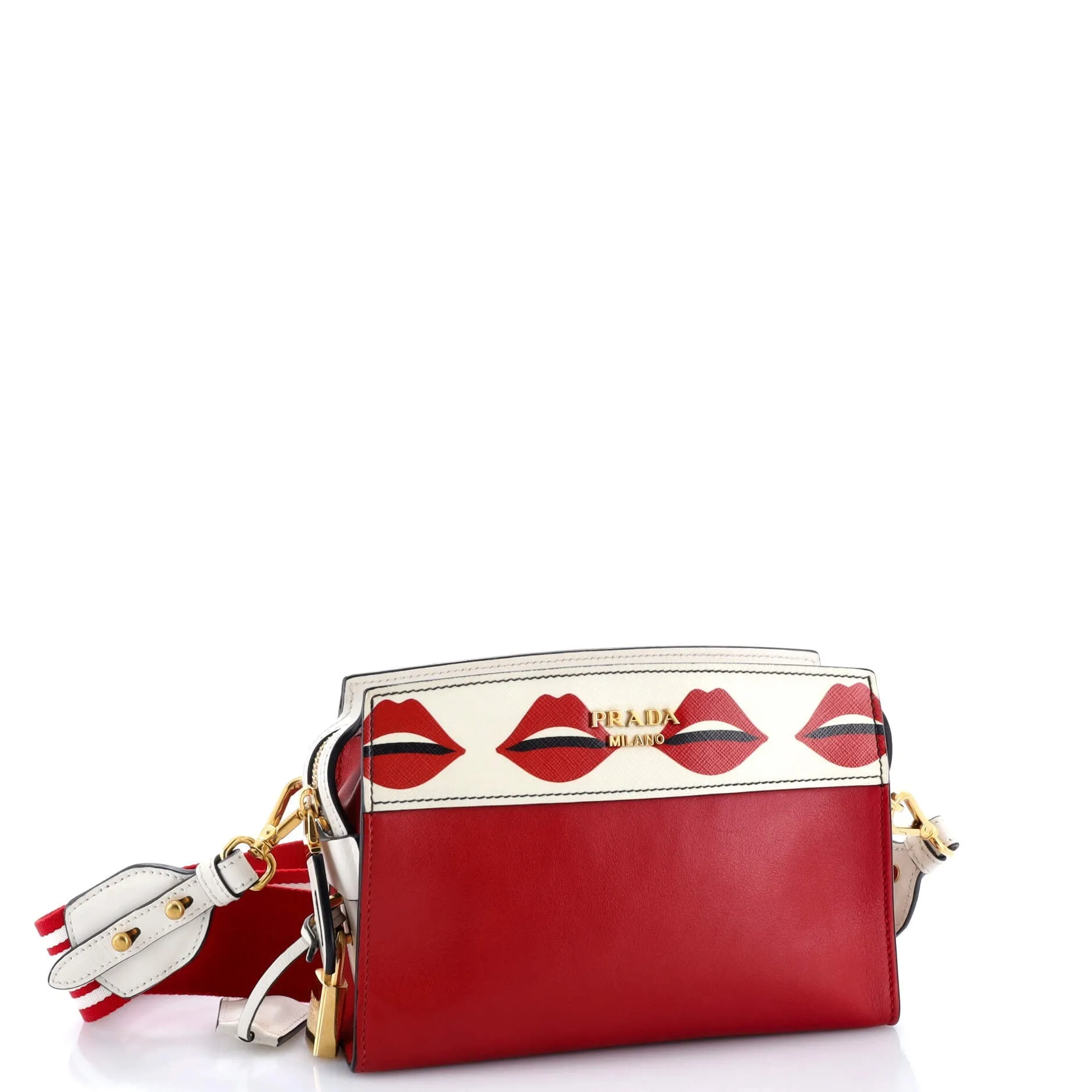 Esplanade Crossbody Bag Printed Saffiano and City Calf Small