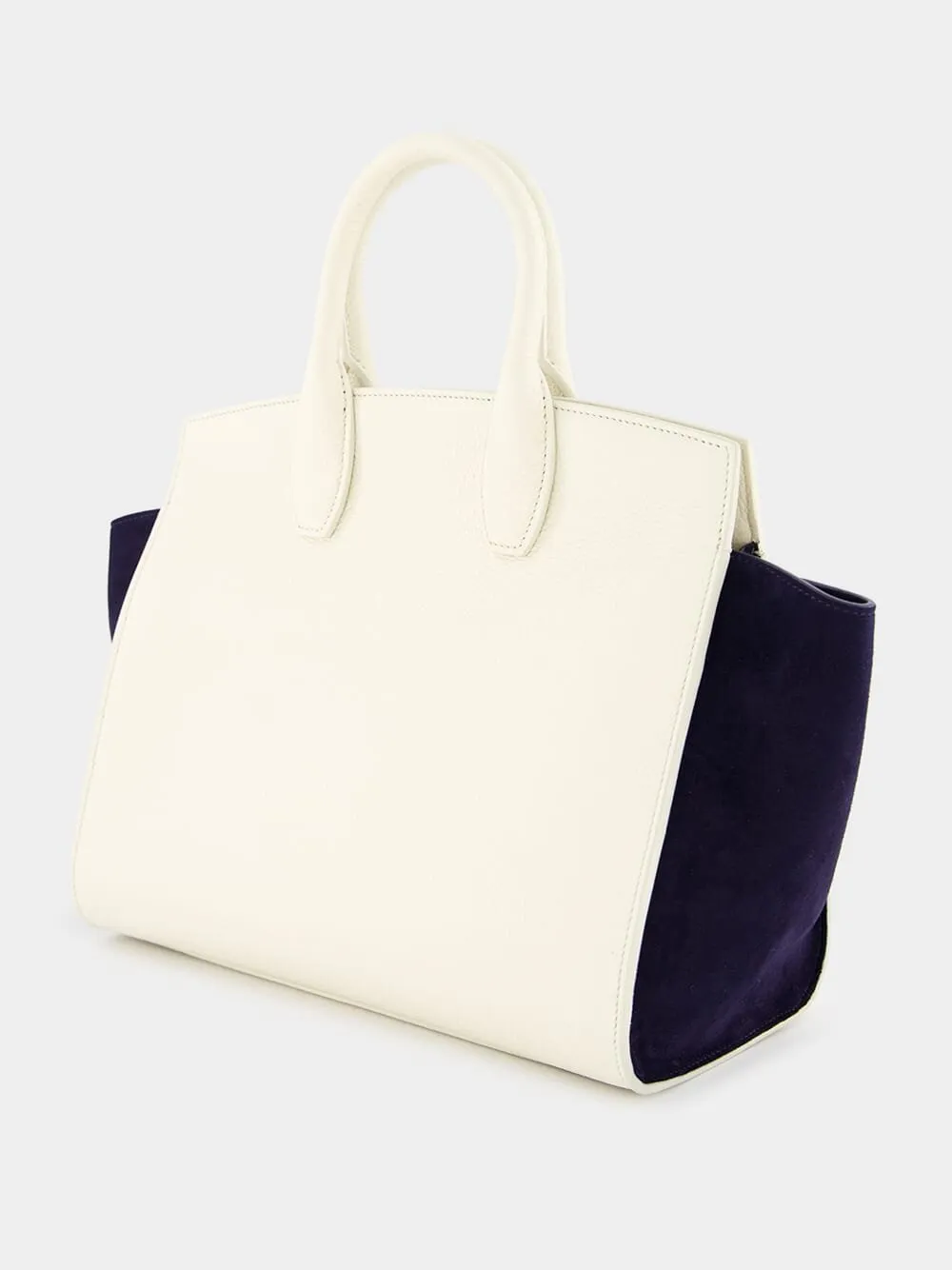 Ivory Suede-Trimmed Small Studio Bag