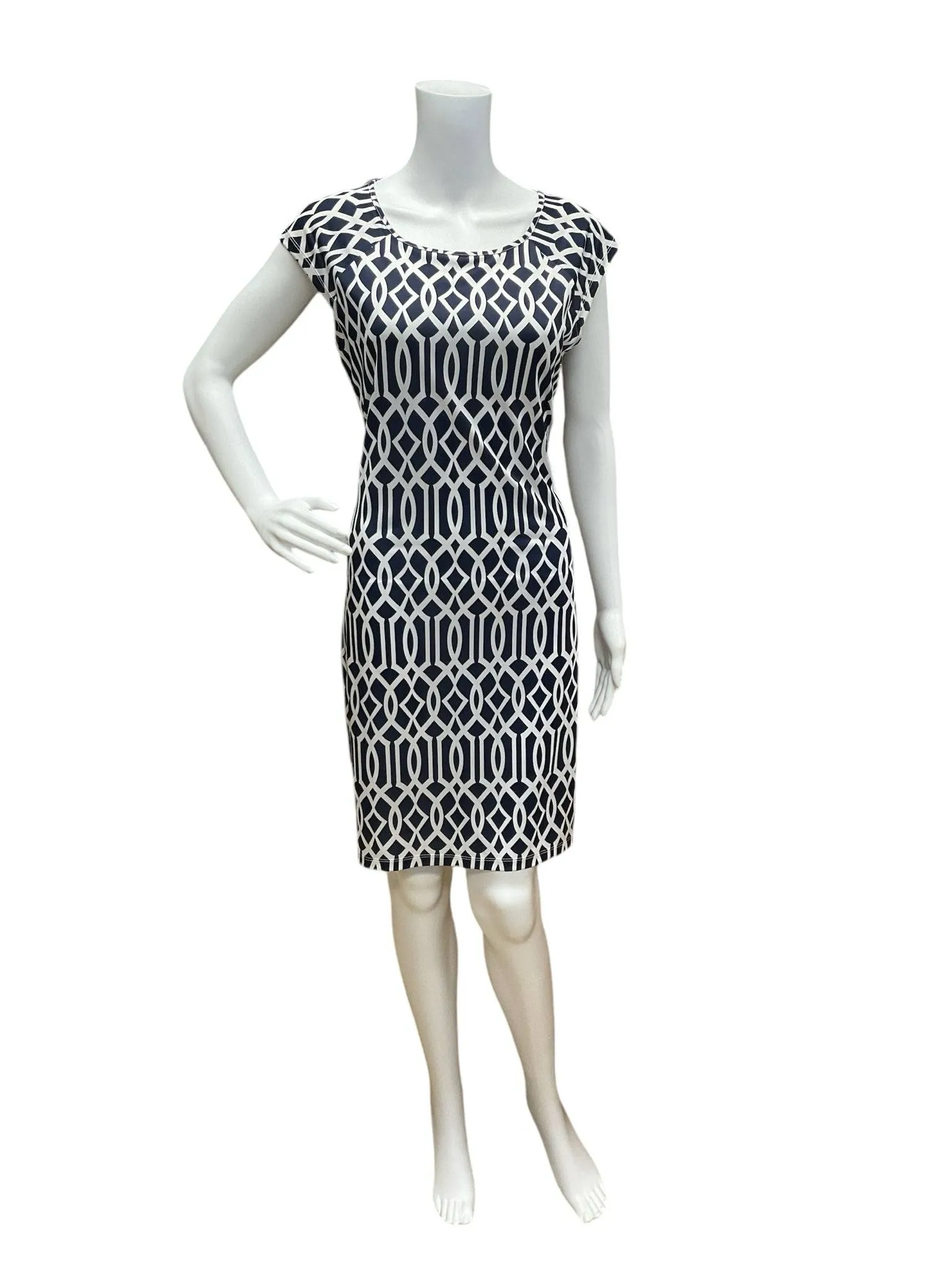 Jean Pierre Dress Size Medium
