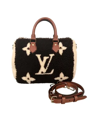 Louis Vuitton Speedy 25 Teddy Fleece Shearling