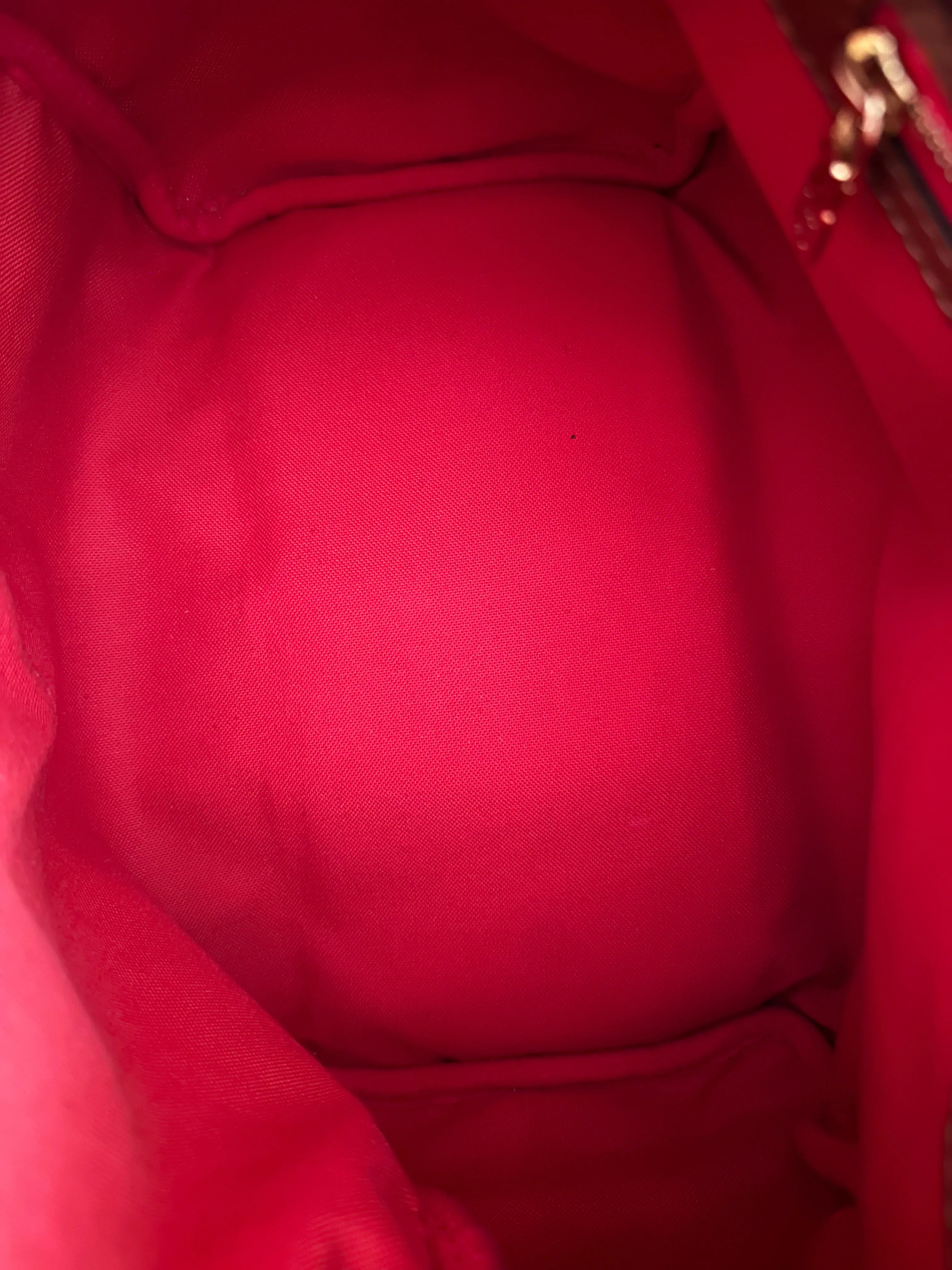 Louis Vuitton Speedy 25 Teddy Fleece Shearling