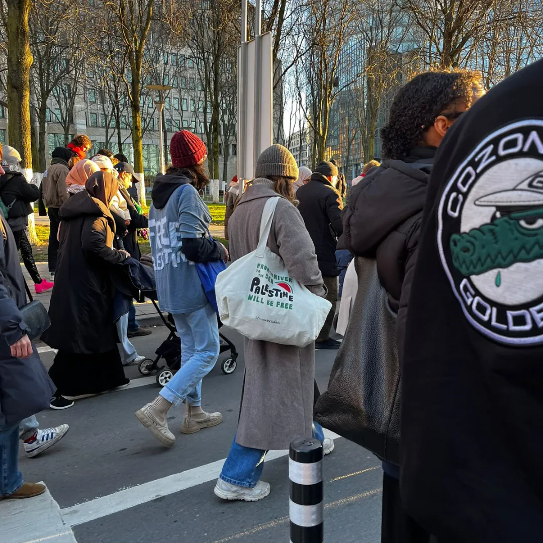 Palestine tote bag