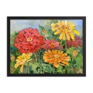 Zinnia Illustration Framed Print