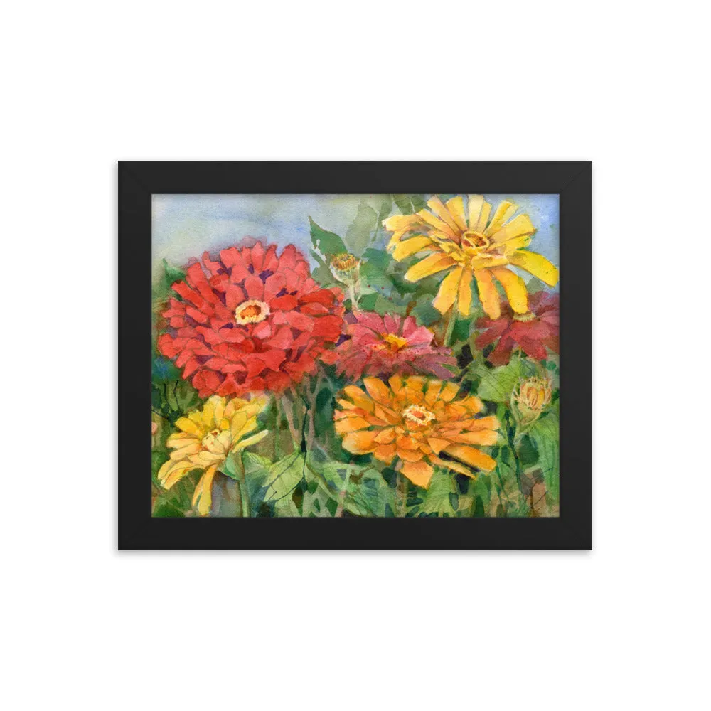 Zinnia Illustration Framed Print