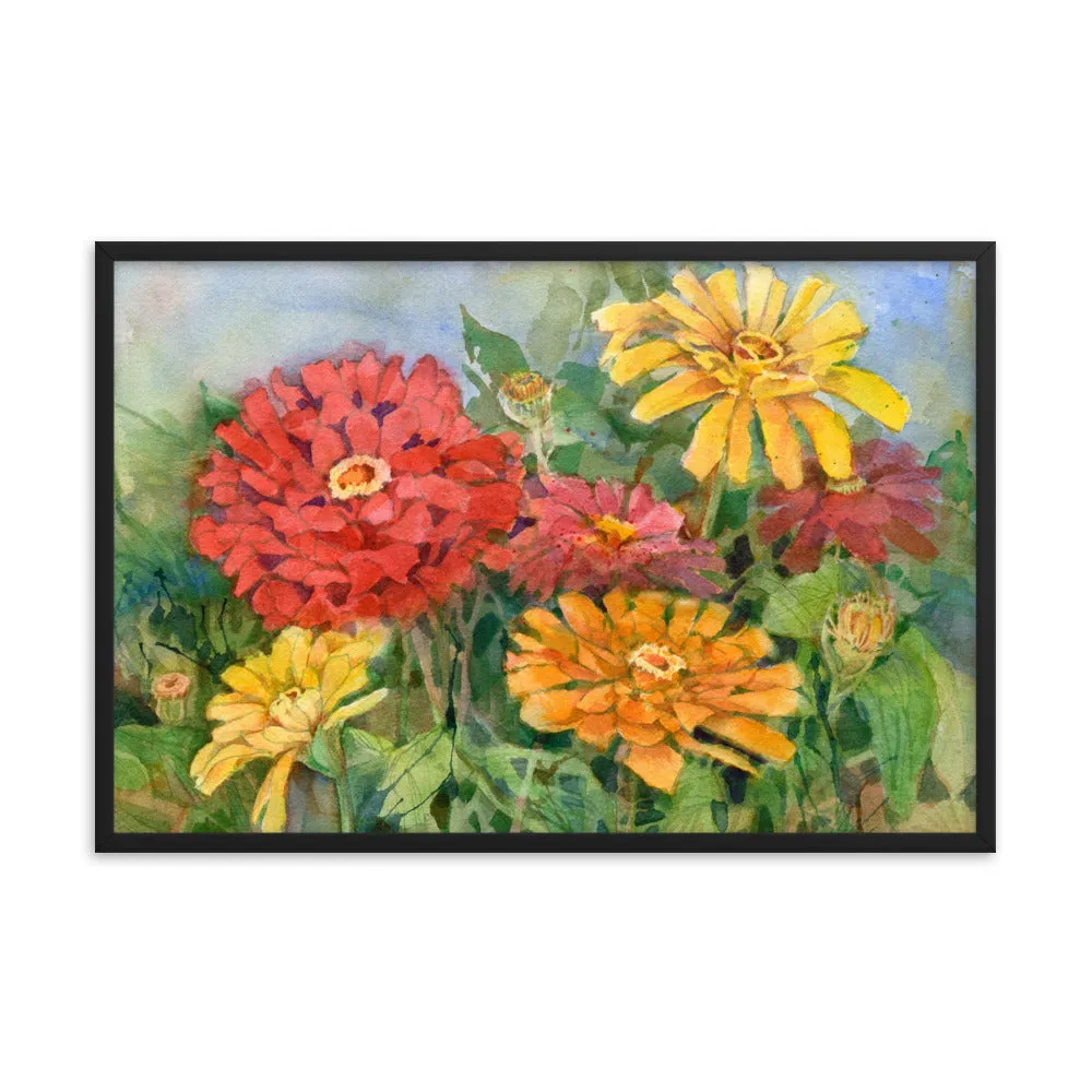Zinnia Illustration Framed Print