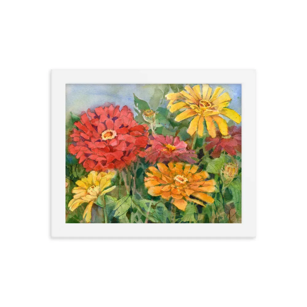 Zinnia Illustration Framed Print