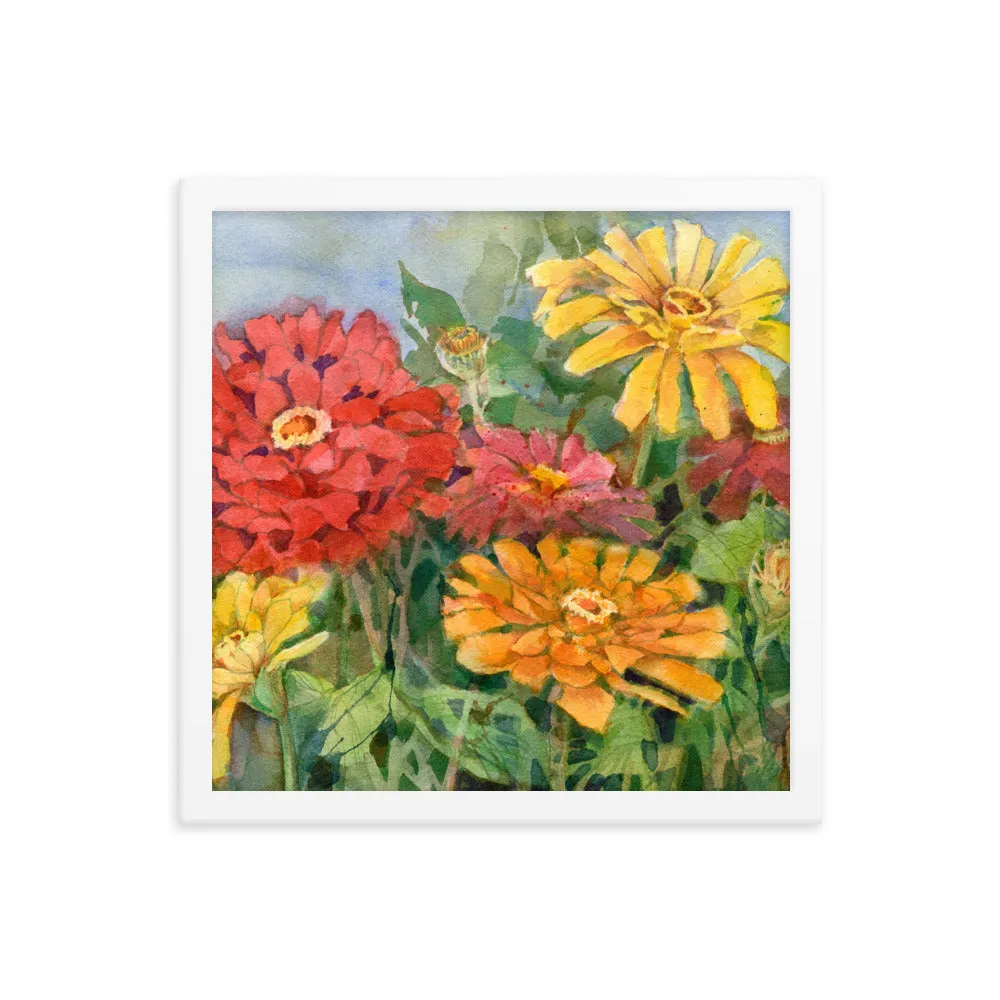 Zinnia Illustration Framed Print