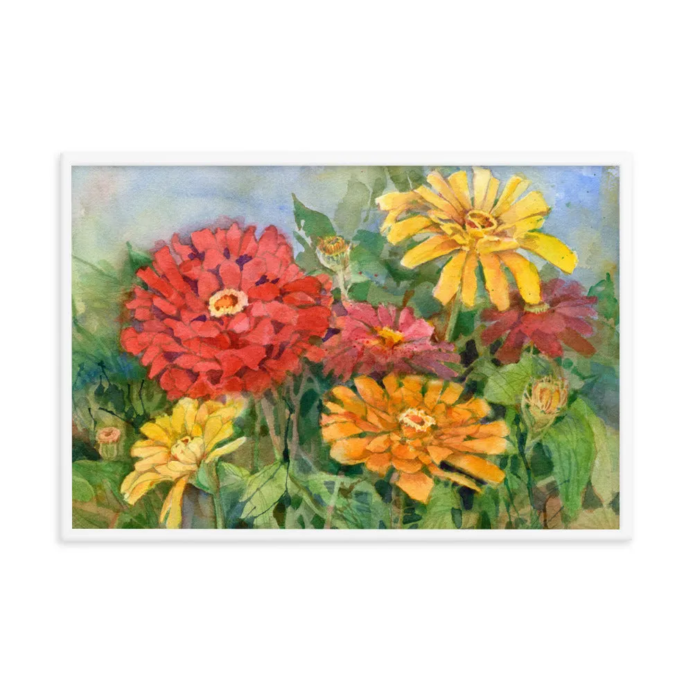 Zinnia Illustration Framed Print