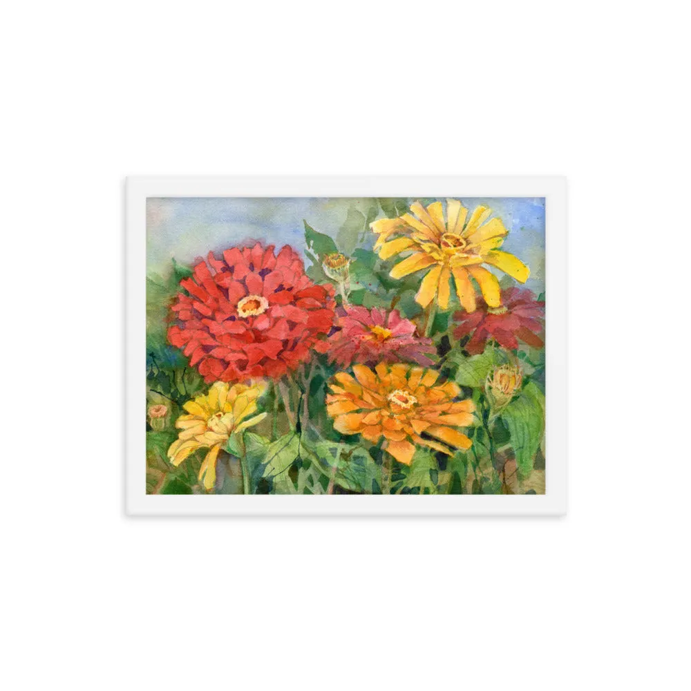Zinnia Illustration Framed Print