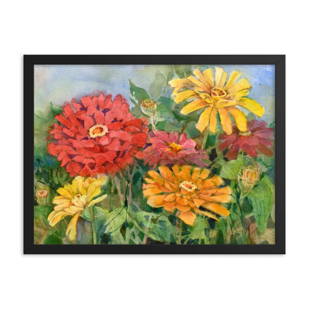 Zinnia Illustration Framed Print