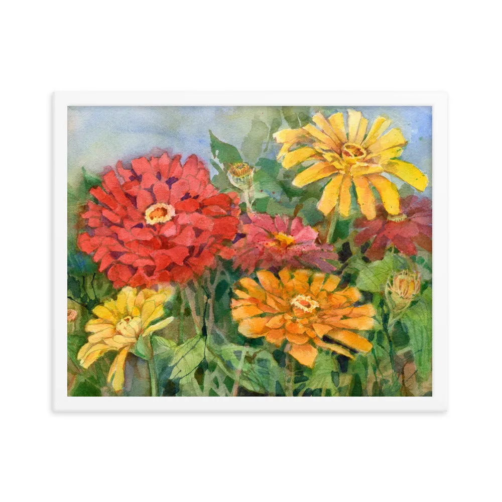 Zinnia Illustration Framed Print