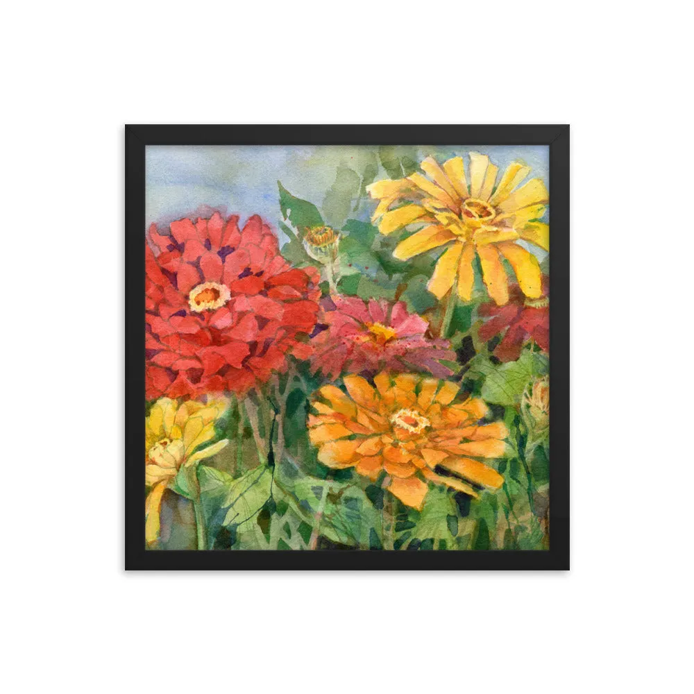 Zinnia Illustration Framed Print