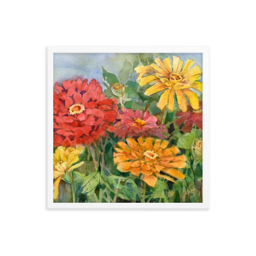 Zinnia Illustration Framed Print