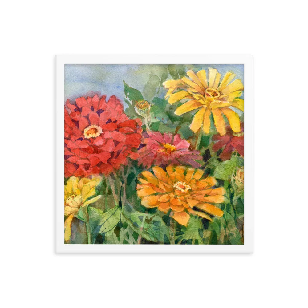 Zinnia Illustration Framed Print