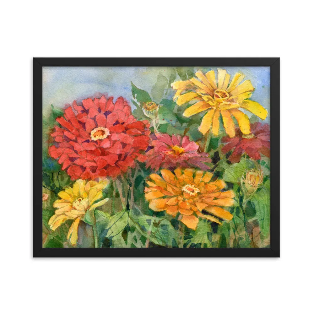 Zinnia Illustration Framed Print